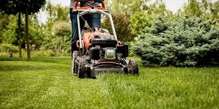 lawn care Fort Saskatchewan