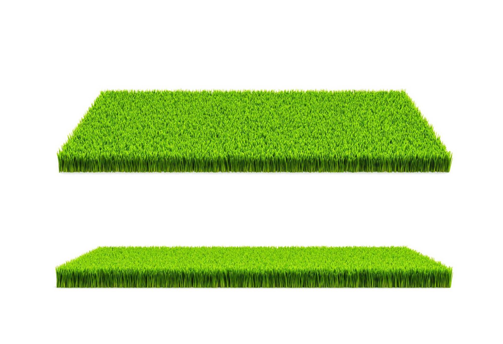 Artificial Grass
